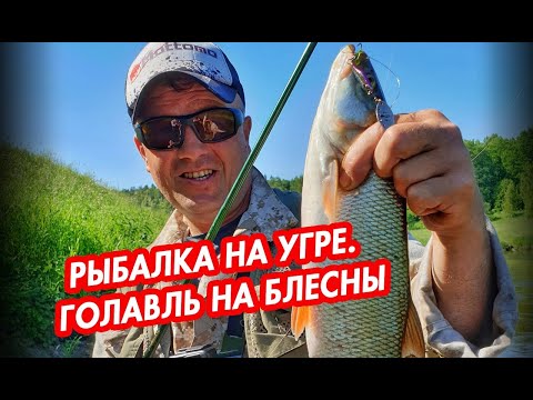 Видео: Рыбалка на Угре. Ловля Жереха и Голавля на блёсны