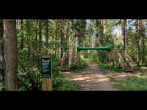 Видео: Экотропа "Березовский лес"! Классно, живо, уютно! Воткинск. Удмуртия. Ecotrope Votkinsk Udmurtia.