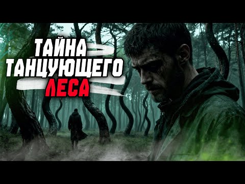Видео: ТАЙНА ТАНЦУЮЩЕГО ЛЕСА | МИСТИКА | СТРАШНАЯ ИСТОРИЯ