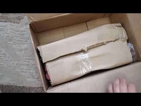 Видео: Посылка из питомника Милы с гортензии.