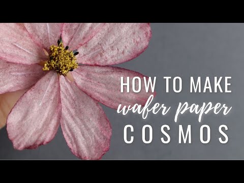 Видео: Мастер-класс по изготовлению цветка космоса из вафельной бумаги