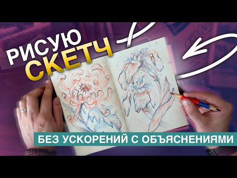 Видео: Хризантема в скетчбуке | Рисование без ускорений с объяснениями