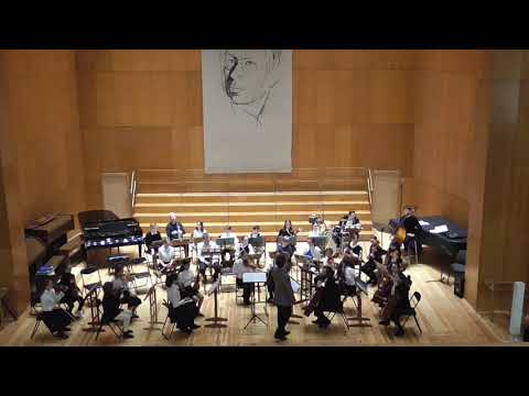Видео: Симфонический Оркестр  МГДМШ им. С.С. Прокофьева 2021