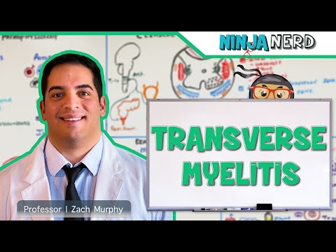 Видео: Поперечный миелит