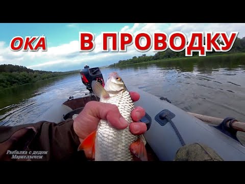 Видео: РЫБА ХОЧЕТ МЯСА. Рыбалка на ПОПЛАВОК с лодки на ОКЕ. Сентябрь 2021.