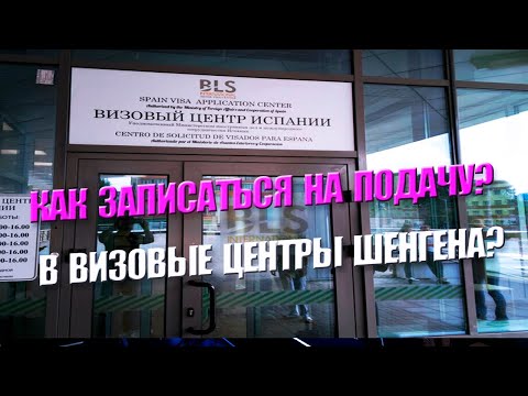 Видео: СИТУАЦИЯ С ЗАПИСЬЮ НА ПОДАЧУ ОСЕНЬ 2024