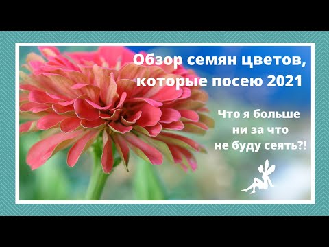 Видео: Обзор семян цветов 2021