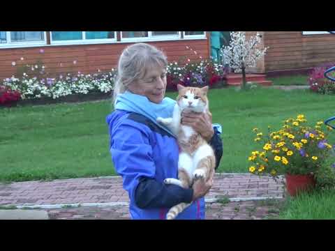 Видео: НА СЕВЕРЕ БАЙКАЛА  Часть 3
