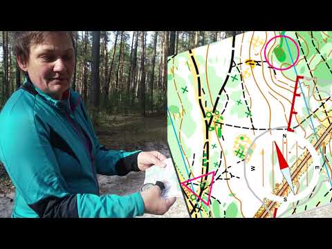 Видео: Урок 5. Движение по линейным ориентирам. Правило "ладошки"