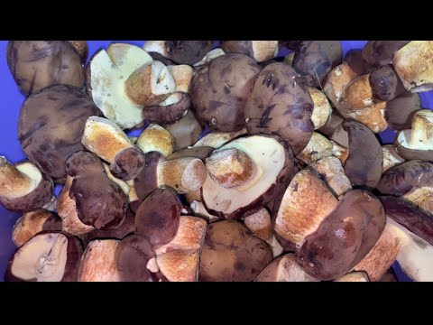 Видео: Что ни шаг то грибочек! Ну какова красота! Сама собирала,сама и закрываю! Рецепт маринада для Грибов