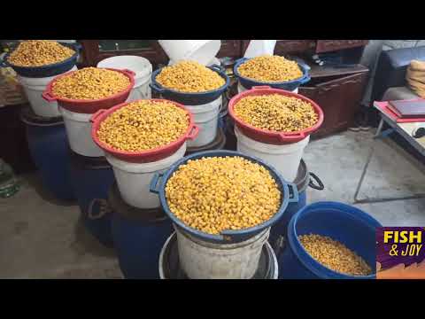 Видео: Работа кипит сезон 2024г