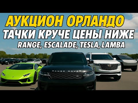 Видео: Аукцион Орландо: Тачки круче, цены ниже! Цены в ауте Range за $10к