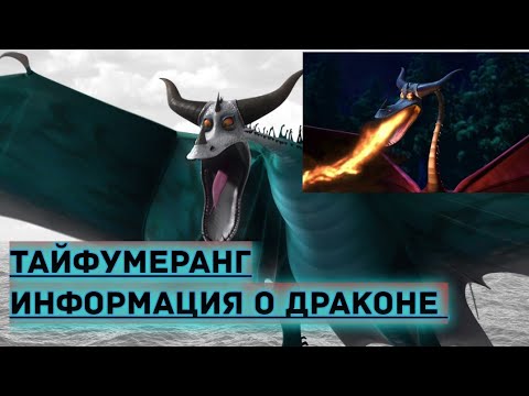 Видео: ТАЙФУМЕРАНГ/ИНФОРМАЦИЯ О ДРАКОНЕ