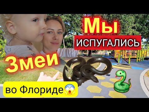 Видео: Это было страшно!/Встретили змею/Ужасный опыт/Что делать?/Жизнь во Флориде/Америка глазами эмигранта