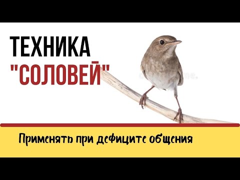 Видео: Как компенсировать дефицит общения