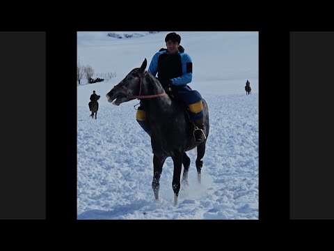 Видео: Бузкаши Сагирдашт аз Давлатов Рустам қисми1