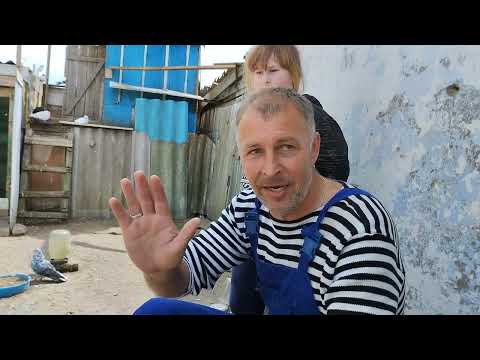 Видео: Николаевские голуби - с Киселевка.26.04-2024г.  Шевчук Виталий Владимирович.