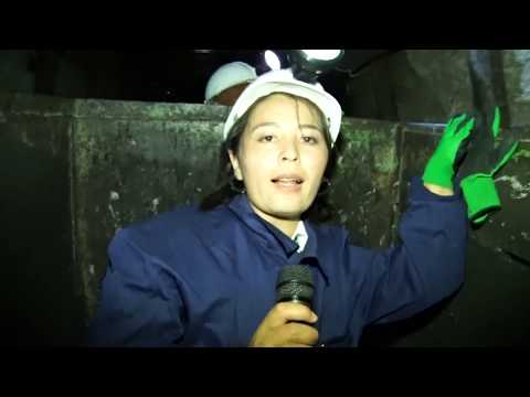 Видео: Сулукту кара алтын  менен Орто Азияны камсыздай алат.