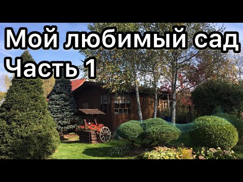 Видео: Мой любимый сад. Часть 1. Обзор