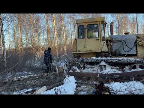 Видео: Бульдозер ЧТЗ Т130 Т170 работа в делянке.