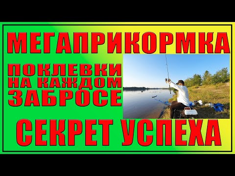 Видео: Мегаприкормка. Поклевка на каждом забросе. Секрет успеха. Фидер 2020