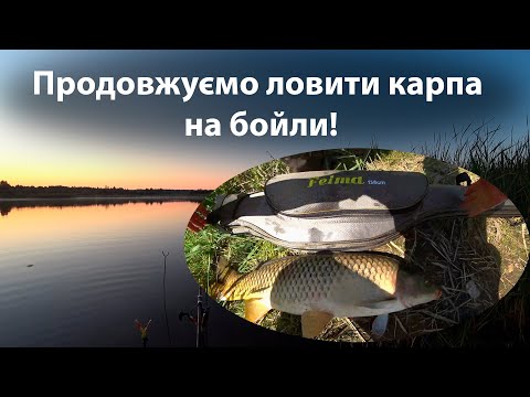 Видео: Продовжуємо ловити карпа на бойли «Piranhas Baits»!