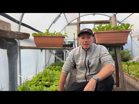 Видео: Подготовка к зиме ~ большой тур по огороду в ноябре