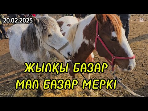 Видео: ЖЫЛҚЫ БАЗАР 20.02.2025 МАЛ БАЗАР МЕРКЕ