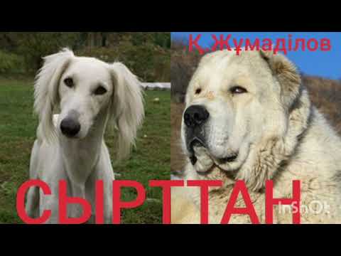 Видео: СЫРТТАН | ӘҢГІМЕ | ҚАБДЕШ ЖҰМАДІЛОВ |