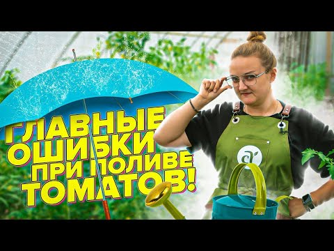 Видео: ПОЛИВАЙТЕ ТОМАТЫ ТАК! СОВЕТЫ