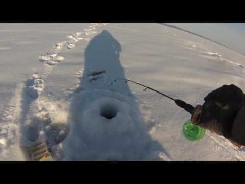 Видео: Балансир Lucky John Mebaru. Ловля окуня.