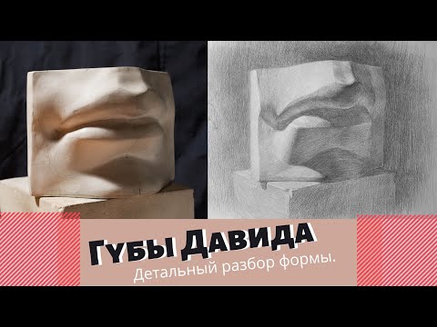 Видео: Губы Давида. Построение карандашом поэтапно.