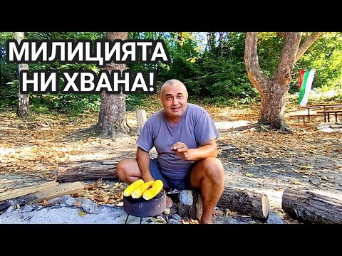 Видео: МЛЕЧНА ЦАРЕВИЦА ПЕЧЕНА НА ЖАР ОТ ДЪРВЕНИ ВЪГЛИЩА! КАК НИ ЗАЛОВИ СЕЛСКОСТОПАНСКА МИЛИЦИЯ С ЦАРЕВИЦА..