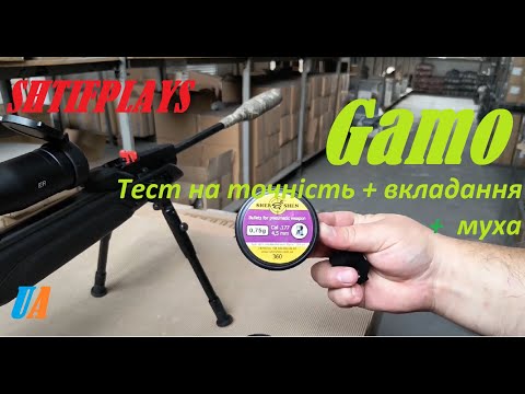 Видео: #Gamo swarm magnum pro + муха = тест