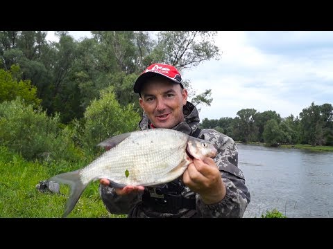 Видео: Рыбалка Лещ на микроджиг! Ловля леща на спиннинг!