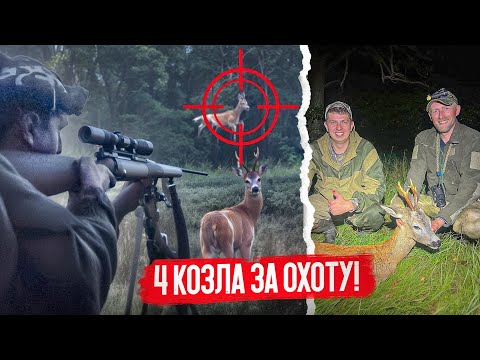 Видео: Охота на Косулю! Гон Косули! Охота с подхода. Шашлык из косули!