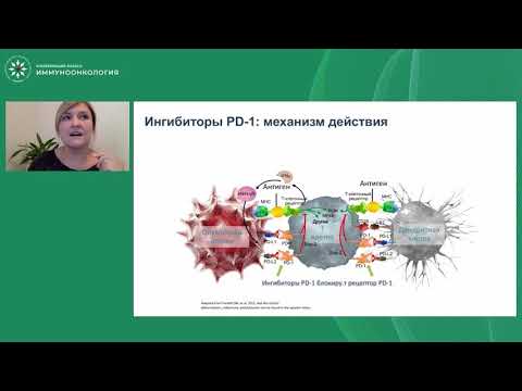 Видео: В чем различия анти-PD(L)-1 препаратов? Возможно ли переключение?