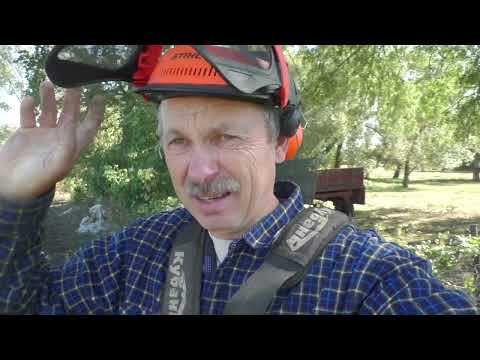 Видео: Оказія з полуницею Мальвіна