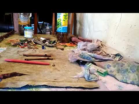 Видео: Зимняя прививка персика.