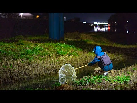 Видео: Супернаживка за 0 рублей, ловящая дорогую рыбу в больших количествах