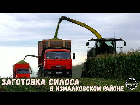 Видео: Заготовка силоса. Измалковский район. 2 комбайна Джон Дир и 11 самосвалов. 2022 год