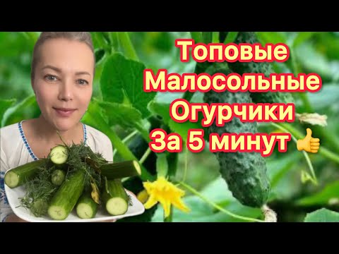 Видео: ТОПОВЫЕ ПП 🥒МАЛОСОЛЬНЫЕ ОГУРЦЫ 🥒 НЕВЕРОЯТНО ХРУСТЯЩИЕ‼️ХОЛОДНЫЙ МЕТОД СОХРАНЯЕТ ВИТАМИНЫ И ФЕРМЕНТЫ
