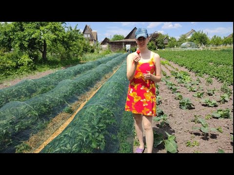 Видео: Дом в деревне.Долго об этом молчали, но сейчас можно и рассказать.Мы рады, что в это ввязались!