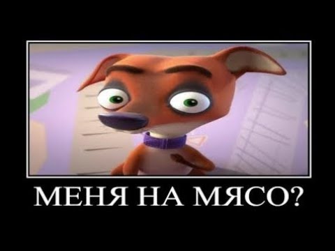 Видео: Муд Фиксики демотиватор #25