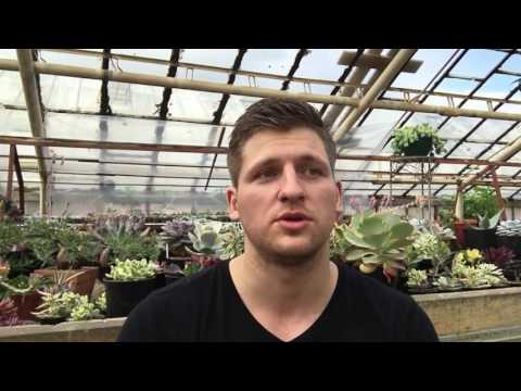 Видео: Почему мы занимаемся растениями..?