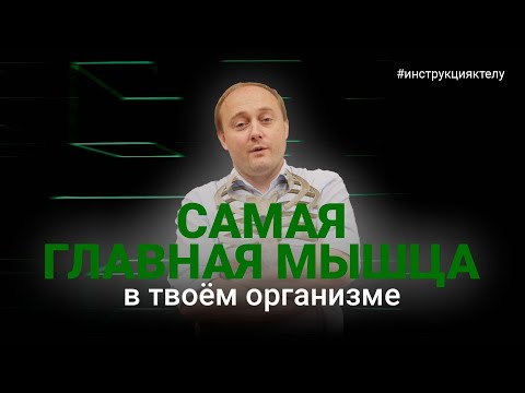 Видео: ДИАФРАГМА. Что это за мышца и почему она во всём виновата. #инструкцияктелу