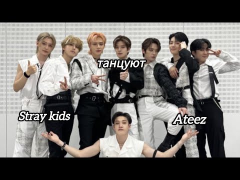 Видео: Stray kids танцуют Ateez#straykids #kpop #стрейкидс #skz #ateez