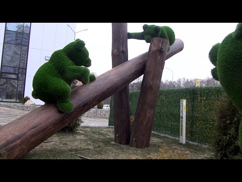 Видео: Пушкино. Прогулка по городу. Мишки на улице Тургенева (24.01.2025)