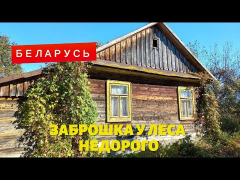 Видео: КРЕПКАЯ ХАТА У САМОГО ЛЕСА | ПРОДАЖА НЕДОРОГОГО ДОМА в Беларуси | ОБЗОР дома НА ПРОДАЖУ