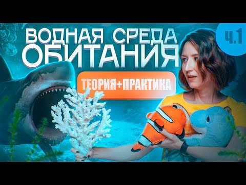 Видео: ВОДНАЯ СРЕДА ОБИТАНИЯ (1/6) | Вода как плотная среда | ЕГЭ-2025 по биологии